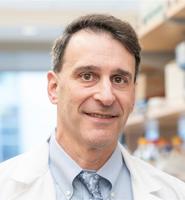 Douglas Grossman, MD, PhD, FAAD